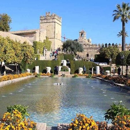 Precioso Loft El Arcangel Junto A La Ribera Córdoba Exteriér fotografie