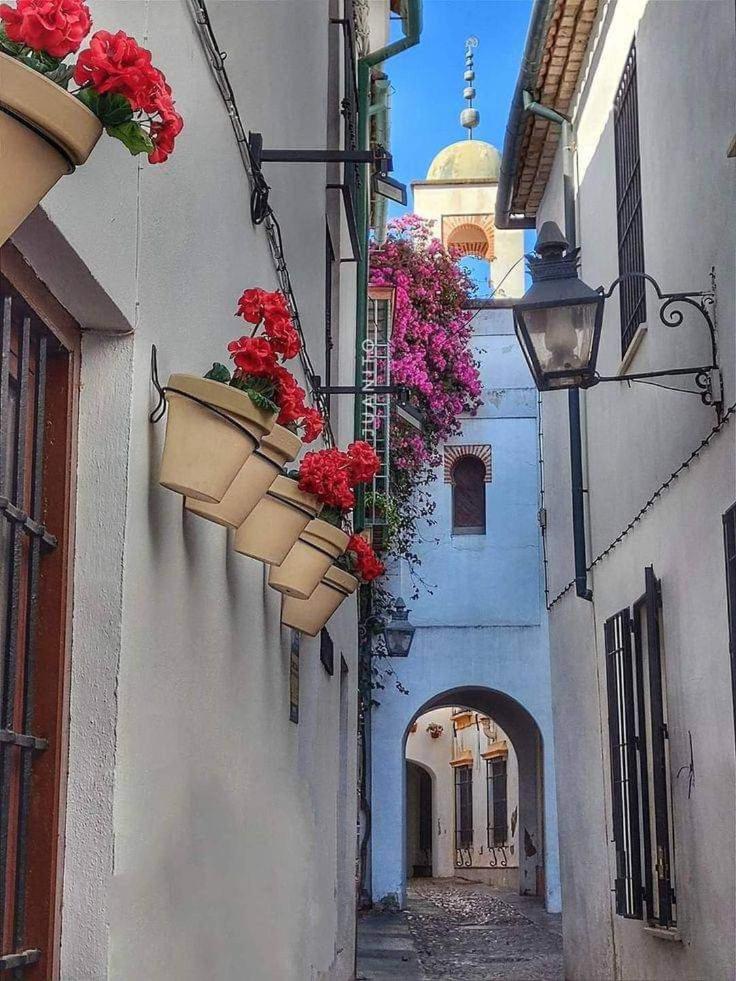 Precioso Loft El Arcangel Junto A La Ribera Córdoba Exteriér fotografie